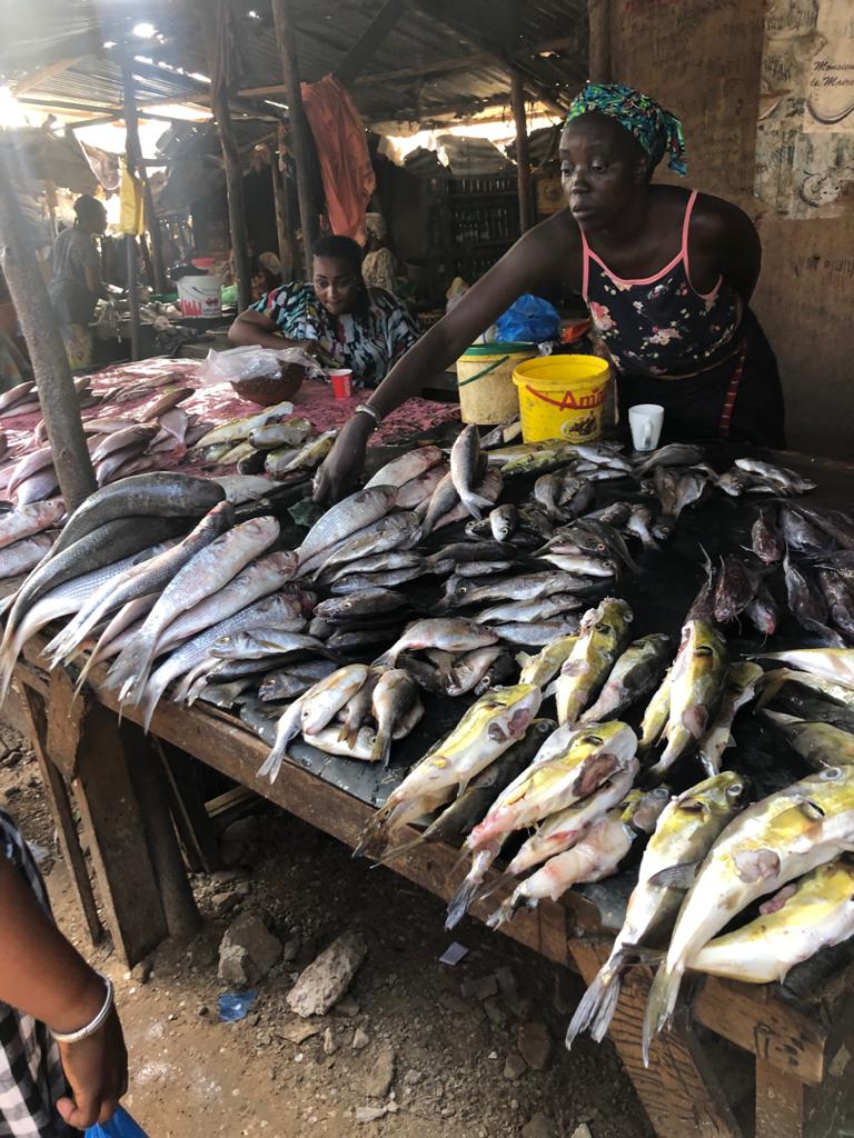 Vendeuses de poissons : A la rencontre de ces lève-tôt piliers du secteur  primaire sénégalais - Teranga News